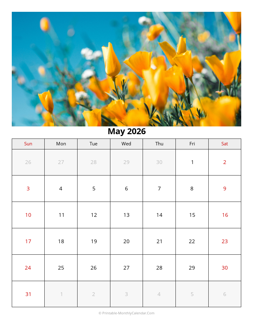 Photo Calendar Preview
